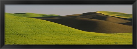 Framed Wheat Field On A Landscape, Whitman County, Washington State, USA Print