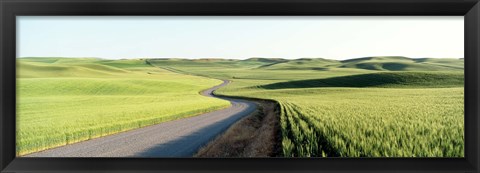 Framed Gravel Road Through Barley and Wheat Fields WA Print