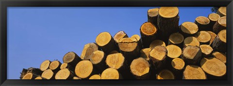 Framed Stack of wooden logs in a timber industry, Austria Print