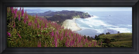 Framed Foxgloves At Cascade Head, Tillamook County, Oregon, USA Print