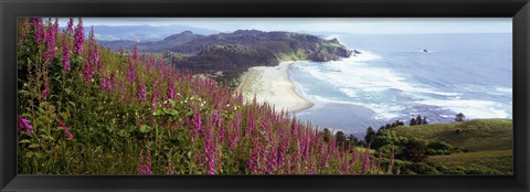 Framed Foxgloves At Cascade Head, Tillamook County, Oregon, USA Print