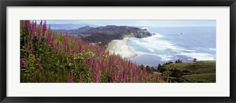 Framed Foxgloves At Cascade Head, Tillamook County, Oregon, USA Print