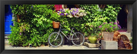 Framed Bicycle In Front Of Wall Covered With Plants And Flowers, Rochefort En Terre, France Print