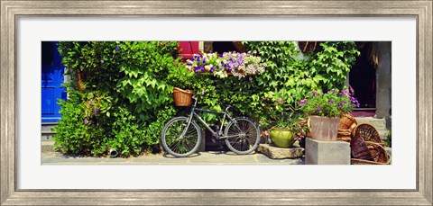 Framed Bicycle In Front Of Wall Covered With Plants And Flowers, Rochefort En Terre, France Print