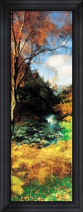 Framed View Of The Valley, Borrowdale, Keswick, Great Britain, United Kingdom Print