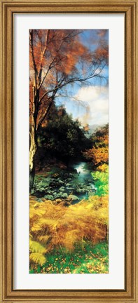Framed View Of The Valley, Borrowdale, Keswick, Great Britain, United Kingdom Print