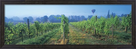 Framed UK, Great Britain, Sussex, Vineyard and hot air balloon Print