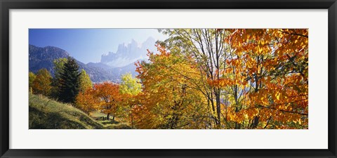 Framed High angle view of trees in a forest, Geisler mountain group, Dolomites, Italy Print