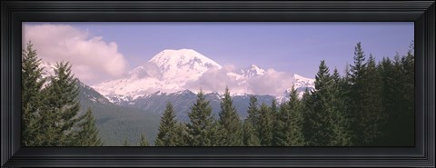 Framed Mt Ranier Mt Ranier National Park WA Print