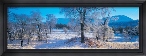 Framed Trossachs National Park, Scotland, United Kingdom Print
