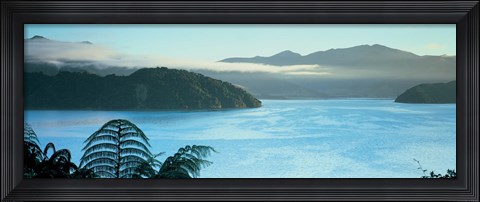 Framed Kenepuru, Marlborough Sound, New Zealand Print