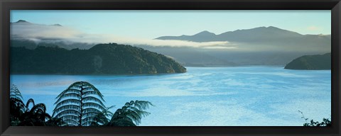 Framed Kenepuru, Marlborough Sound, New Zealand Print