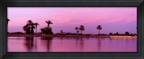Framed Palm trees, Menara, Marrakech, Morocco Print