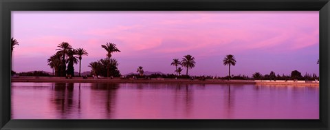 Framed Palm trees, Menara, Marrakech, Morocco Print