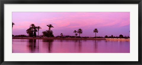 Framed Palm trees, Menara, Marrakech, Morocco Print