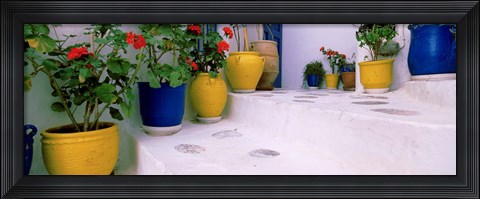 Framed Potted plants on steps, Mykonos, Cyclades Islands, Greece Print