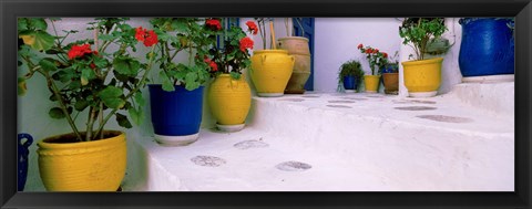 Framed Potted plants on steps, Mykonos, Cyclades Islands, Greece Print