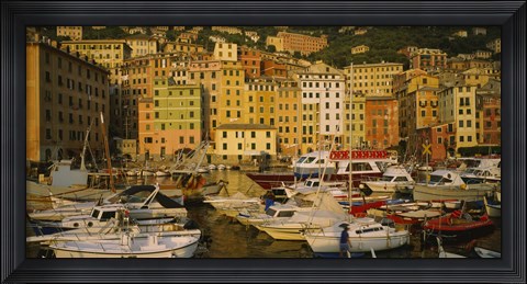 Framed Boats at the harbor, Camogli, Liguria, Italy Print