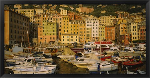 Framed Boats at the harbor, Camogli, Liguria, Italy Print