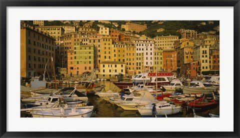 Framed Boats at the harbor, Camogli, Liguria, Italy Print