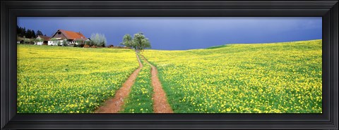 Framed Dirt road passing through a field, Germany Print