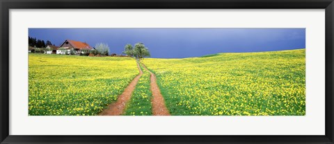 Framed Dirt road passing through a field, Germany Print