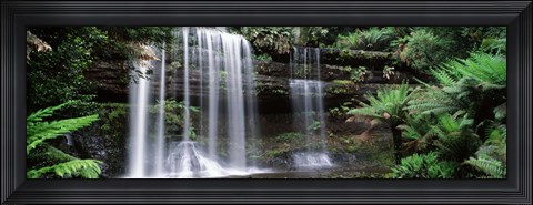 Framed Waterfall in a forest, Russell Falls, Mt Field National Park, Tasmania, Australia Print
