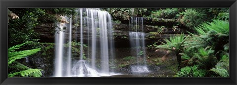 Framed Waterfall in a forest, Russell Falls, Mt Field National Park, Tasmania, Australia Print