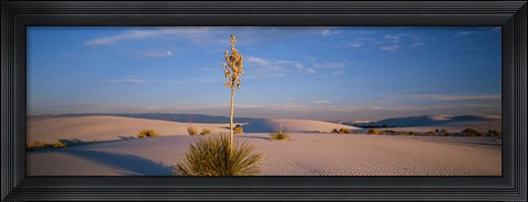 Framed Shrubs in the desert, White Sands National Monument, New Mexico, USA Print