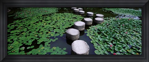Framed Water Lilies In A Pond, Helan Shrine, Kyoto, Japan Print