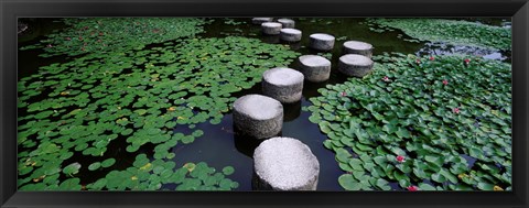 Framed Water Lilies In A Pond, Helan Shrine, Kyoto, Japan Print