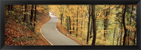 Framed Autumn trees along a road, Germany Print