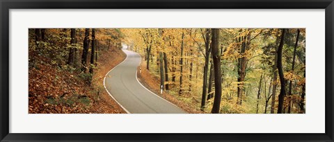 Framed Autumn trees along a road, Germany Print