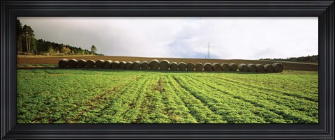 Framed Hay bales in a farm land, Germany Print