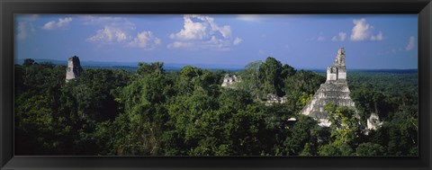 Framed High Angle View Of An Old Temple, Tikal, Guatemala Print