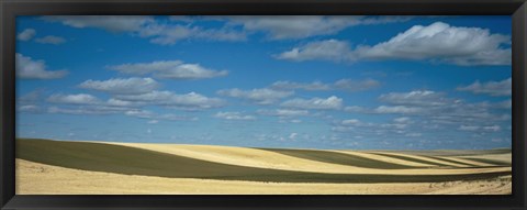 Framed Clouded sky over a striped field, Geraldine, Montana, USA Print