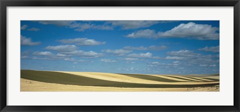 Framed Clouded sky over a striped field, Geraldine, Montana, USA Print