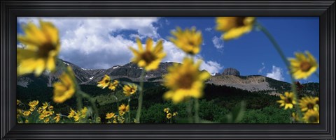 Framed Low Angle View Of Mountains, Montana, USA Print