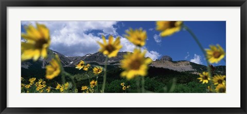 Framed Low Angle View Of Mountains, Montana, USA Print