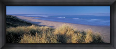 Framed Tall grass on the coastline, Saunton, North Devon, England Print