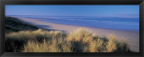 Framed Tall grass on the coastline, Saunton, North Devon, England Print