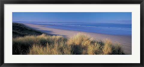 Framed Tall grass on the coastline, Saunton, North Devon, England Print