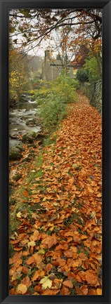 Framed Leaves On The Grass In Autumn, Sneaton, North Yorkshire, England, United Kingdom Print