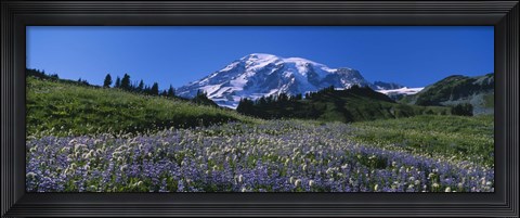 Framed Wildflowers On A Landscape, Mt Rainier National Park, Washington State, USA Print