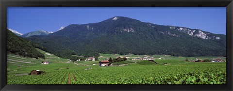 Framed High Angle View Of A Vineyard, Valais, Switzerland Print