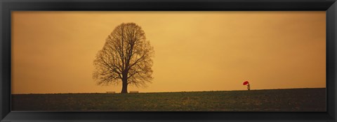 Framed Man standing with an umbrella near a tree, Baden-Wuerttemberg, Germany Print