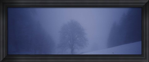 Framed Trees on a snow covered landscape, Schauinsland, Germany Print