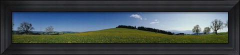 Framed Panoramic view of a landscape, St. Peter, Lindenberg, Black Forest, Germany Print