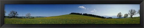 Framed Panoramic view of a landscape, St. Peter, Lindenberg, Black Forest, Germany Print