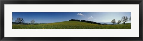 Framed Panoramic view of a landscape, St. Peter, Lindenberg, Black Forest, Germany Print
